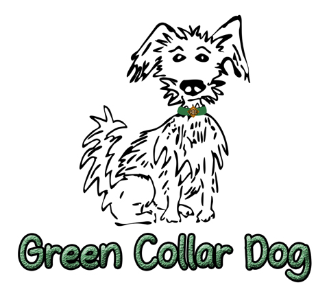 Green Collar Dog